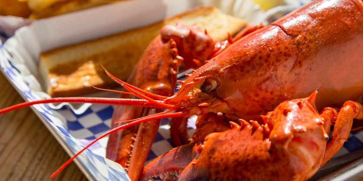 Eatery | New England Lobster